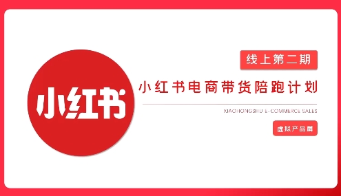 2025小红书虚拟电商实战课，从0到1打造无货源店铺，AI+爆款笔记轻松变现网赚项目-副业赚钱-互联网创业-资源整合小白搞钱网,分享免费网赚项目,网创资源,视频教程,网络资源的休闲小站