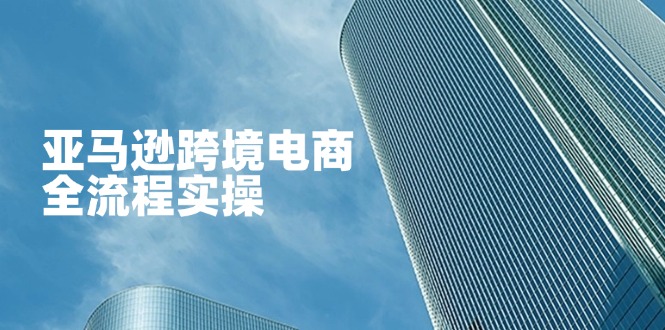 （14252期）亚马逊跨境电商全流程实操，教你从零开始，掌握店铺运营与广告技巧网赚项目-副业赚钱-互联网创业-资源整合小白搞钱网,分享免费网赚项目,网创资源,视频教程,网络资源的休闲小站