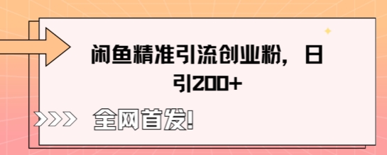 闲鱼精准引流创业粉，轻松日引200+网赚项目-副业赚钱-互联网创业-资源整合小白搞钱网,分享免费网赚项目,网创资源,视频教程,网络资源的休闲小站