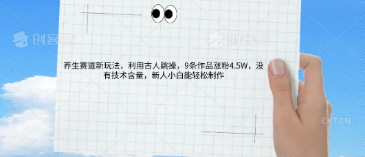 AI养生赛道新玩法，10条作品涨粉5.2W，操作简单，新人小白能轻松制作网赚项目-副业赚钱-互联网创业-资源整合小白搞钱网,分享免费网赚项目,网创资源,视频教程,网络资源的休闲小站