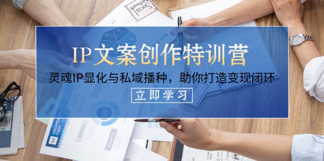 （14330期）IP文案创作特训营，灵魂IP显化与私域播种，助你打造变现闭环（14节课）网赚项目-副业赚钱-互联网创业-资源整合小白搞钱网,分享免费网赚项目,网创资源,视频教程,网络资源的休闲小站