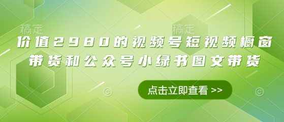 价值2980的视频号短视频橱窗带货和公众号小绿书图文带货网赚项目-副业赚钱-互联网创业-资源整合小白搞钱网,分享免费网赚项目,网创资源,视频教程,网络资源的休闲小站