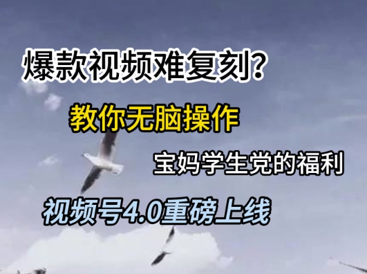视频号4.0重磅上线，爆款视频难复刻？教你无脑操作宝妈学生党的福利【揭秘】网赚项目-副业赚钱-互联网创业-资源整合小白搞钱网,分享免费网赚项目,网创资源,视频教程,网络资源的休闲小站
