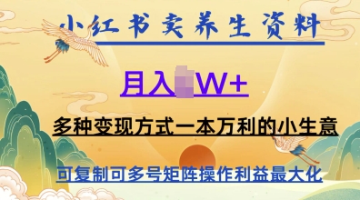 在小红书上卖养生资料，月入1w+，多种变现方式一本万利的小生意网赚项目-副业赚钱-互联网创业-资源整合小白搞钱网,分享免费网赚项目,网创资源,视频教程,网络资源的休闲小站
