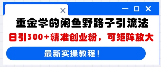 重金学的闲鱼野路子引流法，日引300+精准创业粉，可矩阵放大网赚项目-副业赚钱-互联网创业-资源整合小白搞钱网,分享免费网赚项目,网创资源,视频教程,网络资源的休闲小站