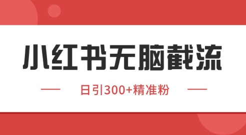 小红书截流同行客源，独家野路子获客玩法 日引200+暴力获客【揭秘】网赚项目-副业赚钱-互联网创业-资源整合小白搞钱网,分享免费网赚项目,网创资源,视频教程,网络资源的休闲小站