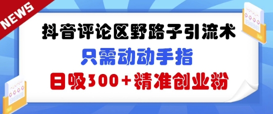 抖音评论区野路子引流术，只需动动手指，日吸300+精准创业粉网赚项目-副业赚钱-互联网创业-资源整合小白搞钱网,分享免费网赚项目,网创资源,视频教程,网络资源的休闲小站