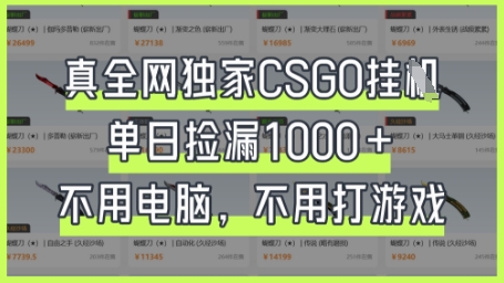 真全网独家CSGO挂G，单日捡漏1k+【揭秘】网赚项目-副业赚钱-互联网创业-资源整合小白搞钱网,分享免费网赚项目,网创资源,视频教程,网络资源的休闲小站