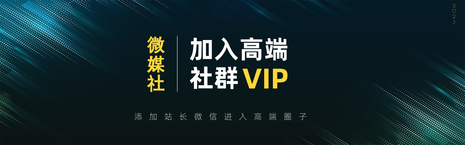 高端 VIP交流群